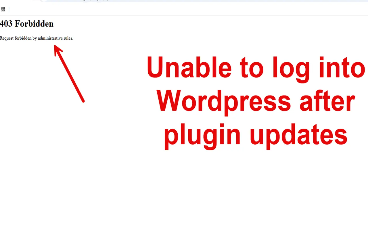 unable to log into wordpress admin after plugin updates