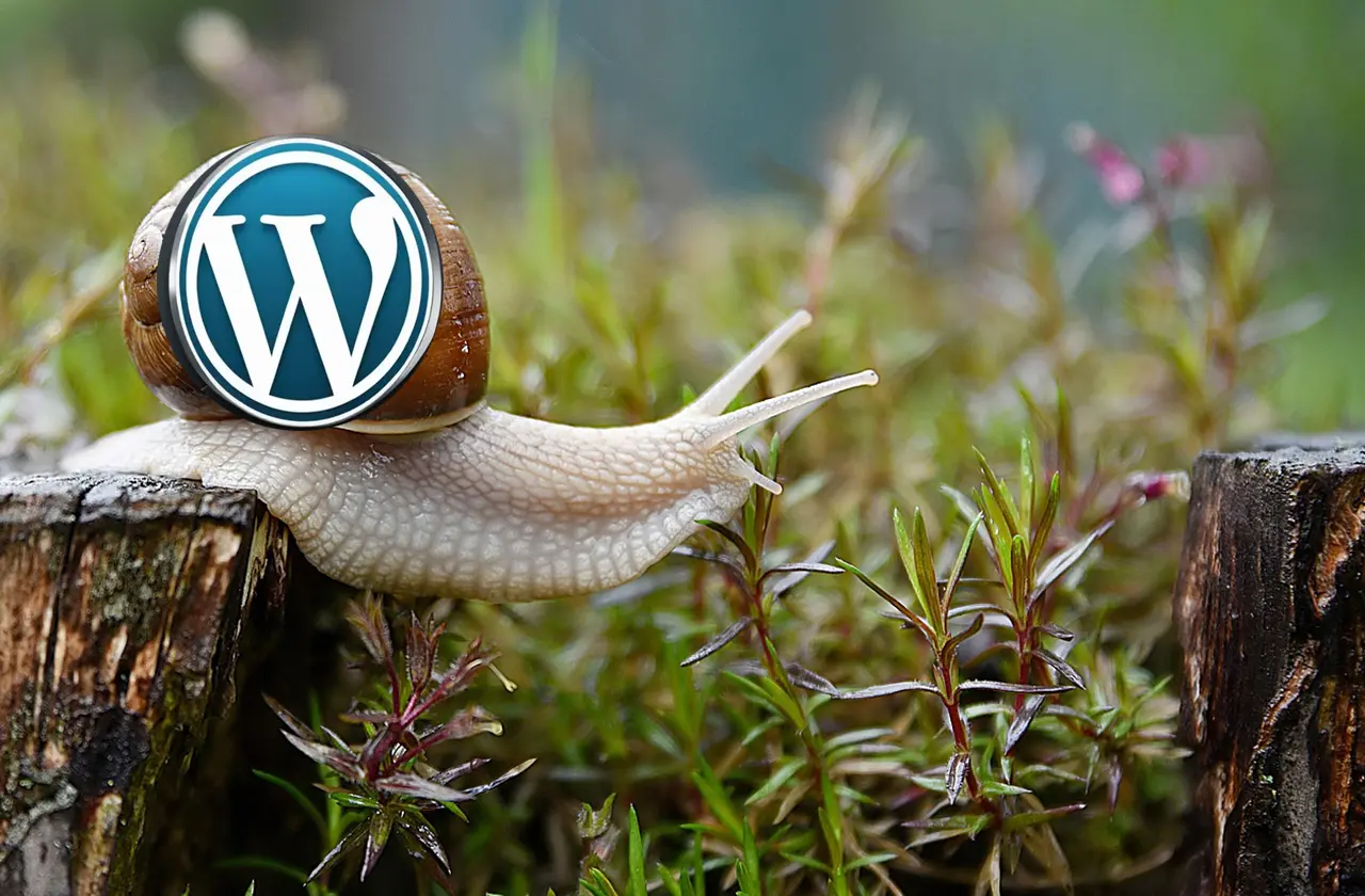 WordPress Too Slow | Get Sub-1-Second Load Times on Shared Hosting | CARL